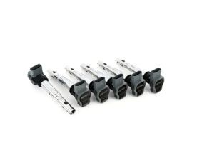 APR Катушка зажигания (6 шт.) для Audi Seat Skoda Volkswagen PQ35 (Серая)