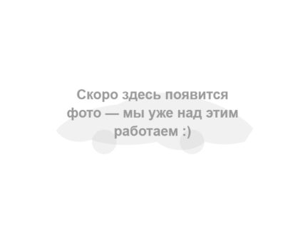 Заглушка: здесь скоро появится фото; над этим работают.